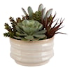 Uttermost Mesa Succulent Mesa Succulent Accent