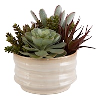 Mesa Succulent Accent