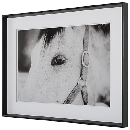 Eye Of The Beholder Framed Print