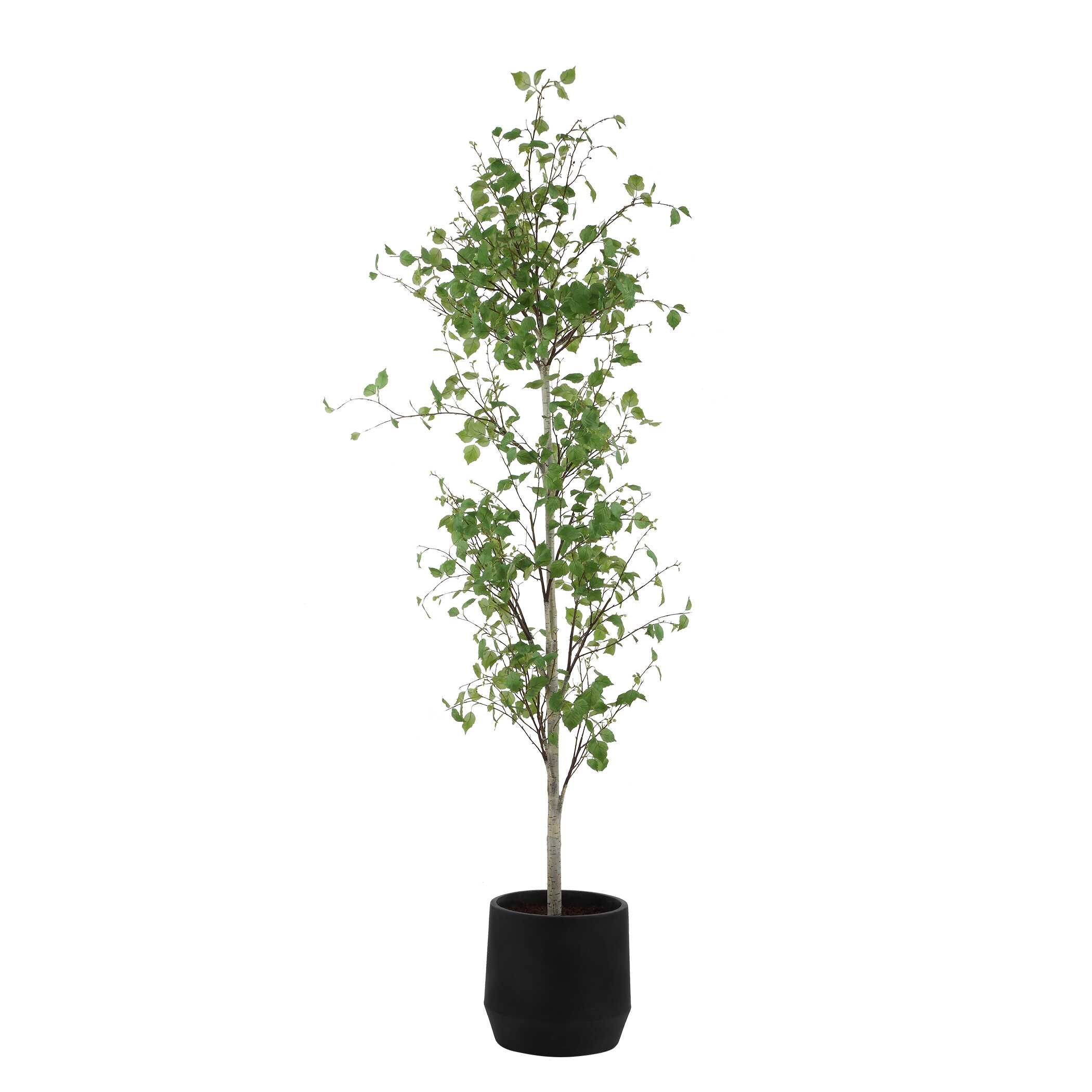 Uttermost Boreal Boreal Potted Birch Tree