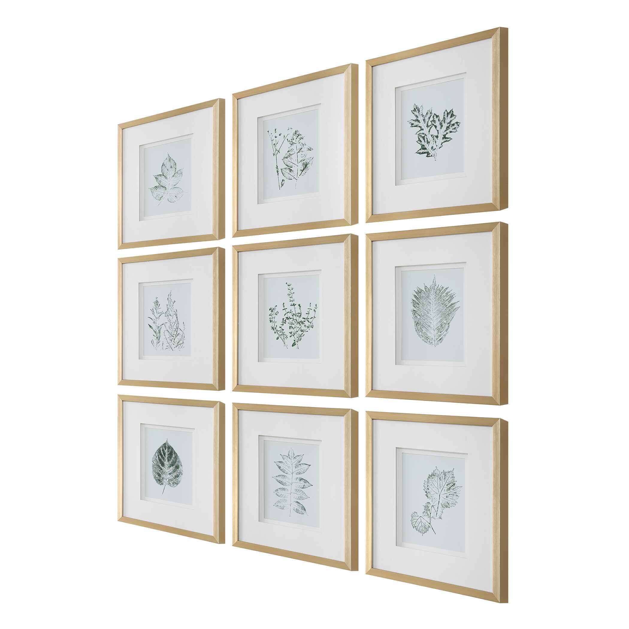 Nature's Script Framed Botanical Prints