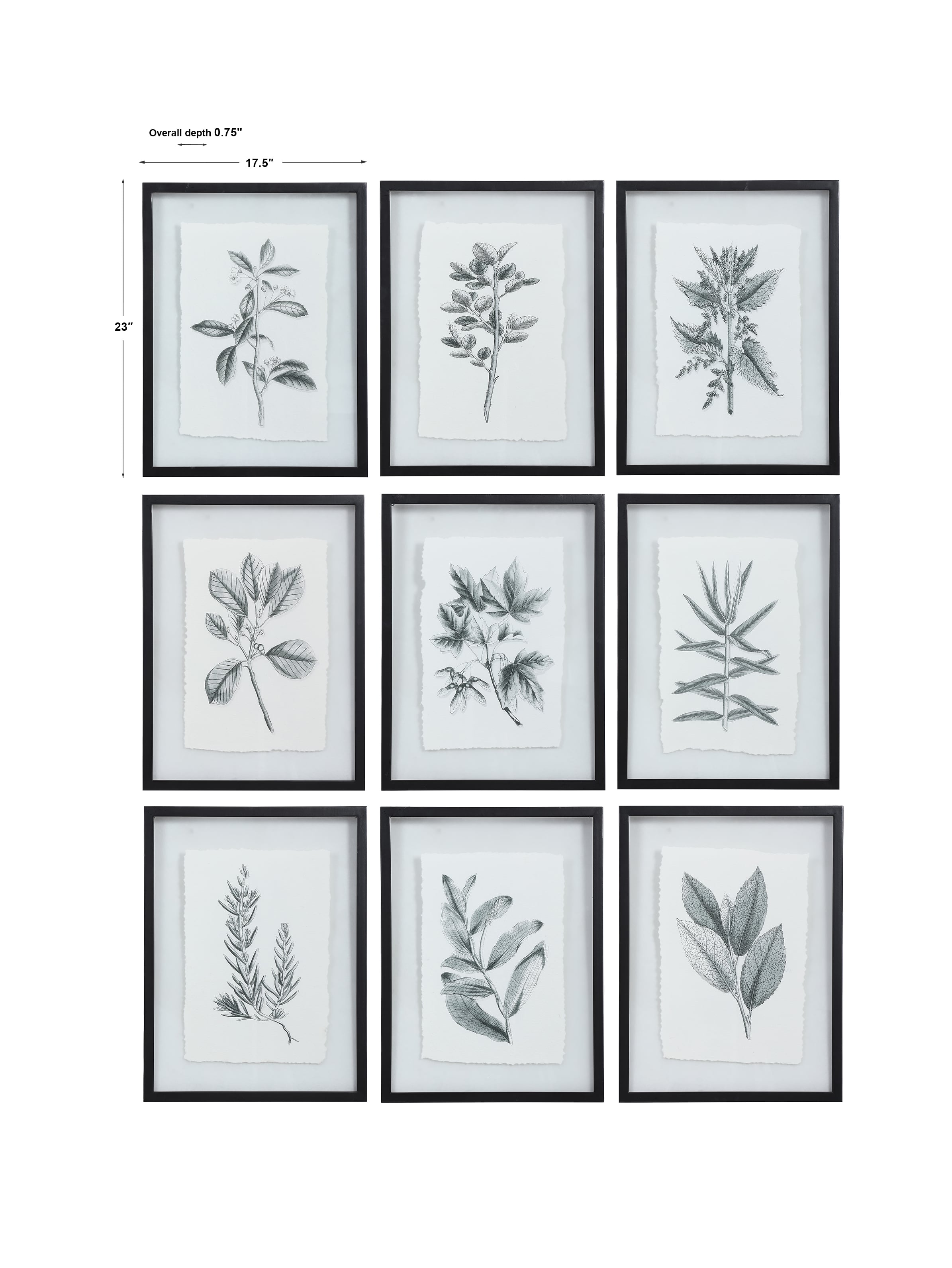 Uttermost Framed Prints Farmhouse Florals Framed Prints, S/9