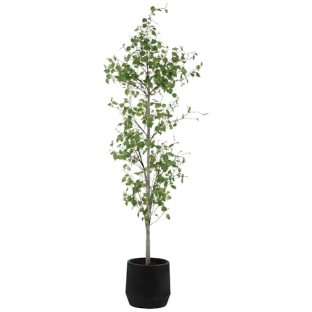 Boreal Potted Birch Tree