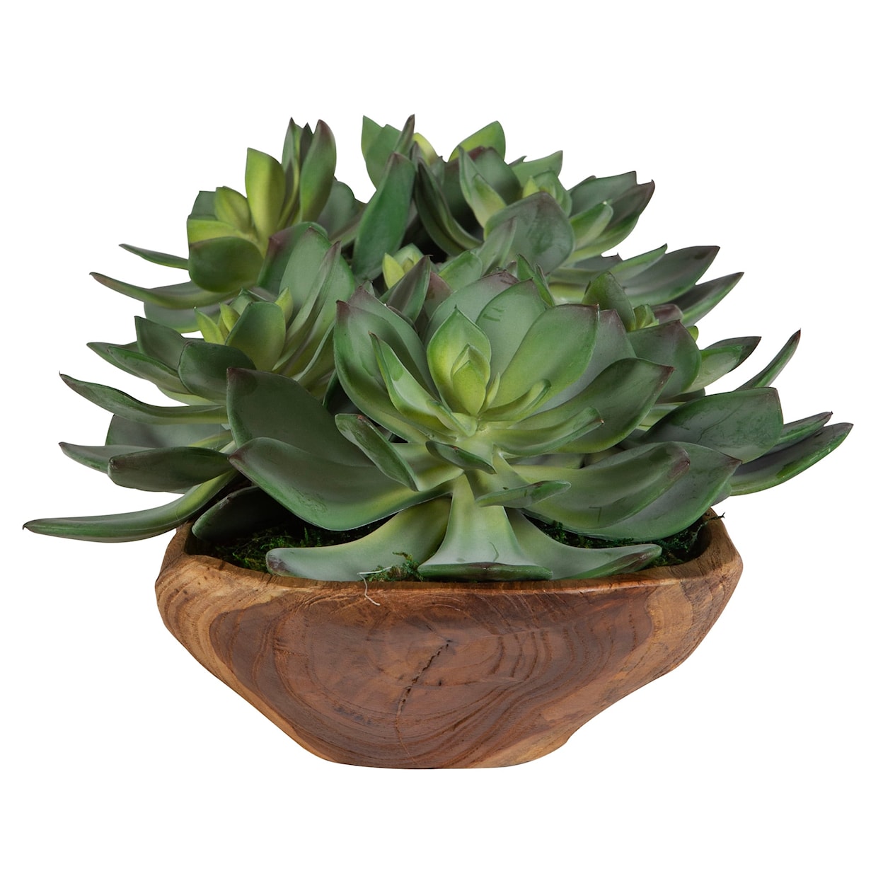 Uttermost Yuma Yuma Succulent Centerpiece