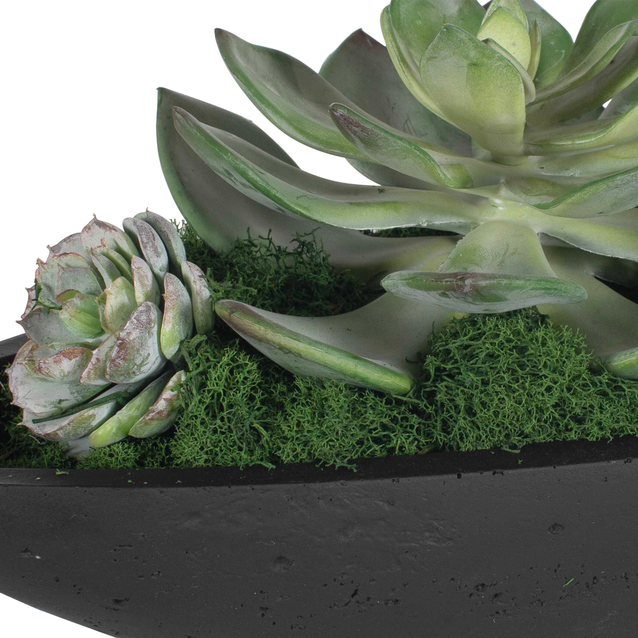Uttermost Verde Verde Succulent Centerpiece In Bowl