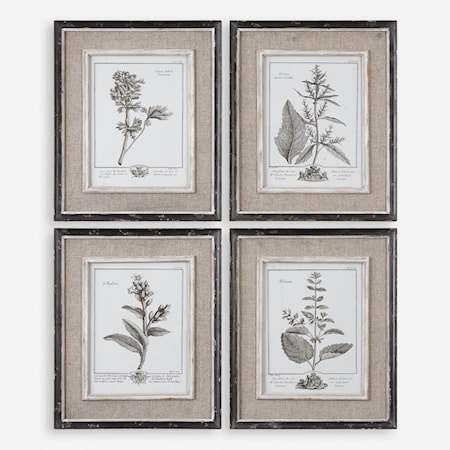 Casual Grey Study Framed Prints, S/4