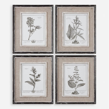 Casual Grey Study Framed Prints, S/4