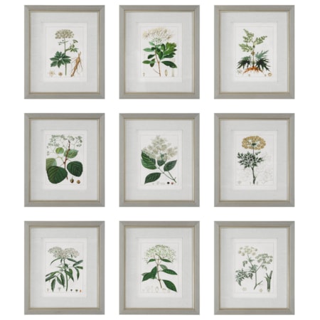 Antique Botanicals Framed Prints, Set of 9