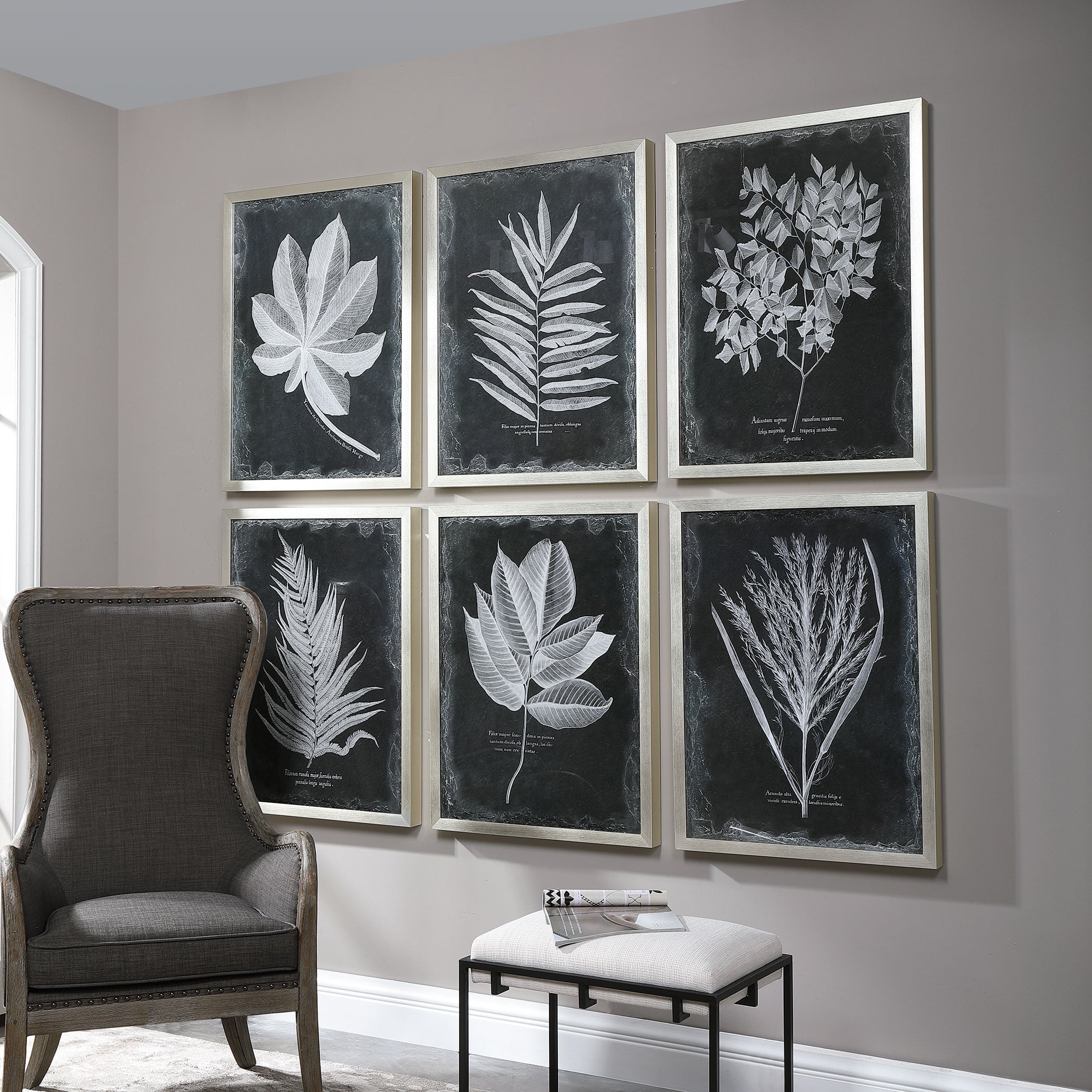 Foliage Framed Prints, Set of 6