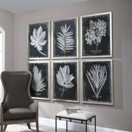 Foliage Framed Prints, Set of 6