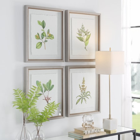 Wildflower Study Framed Prints S/4