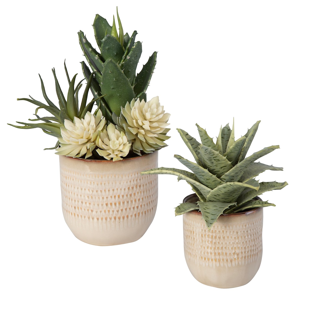 Uttermost Seaside Succulents Seaside Succulents Set/2