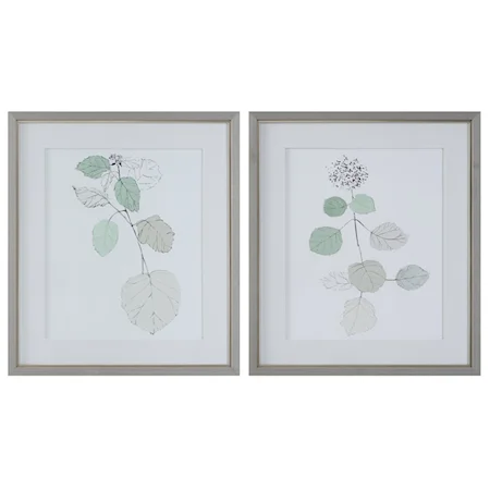 Botanical Framed Prints- Set of 2