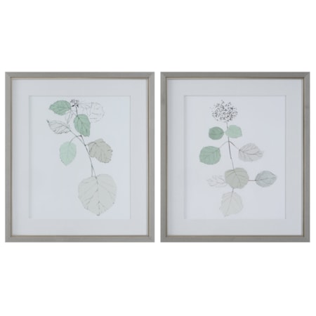 Botanical Framed Prints- Set of 2