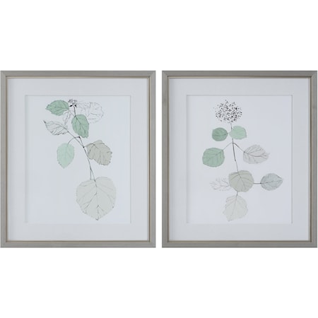 Botanical Framed Prints- Set of 2