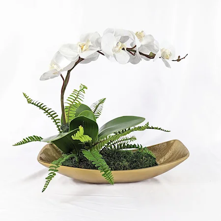 Transcend Orchid Centerpiece