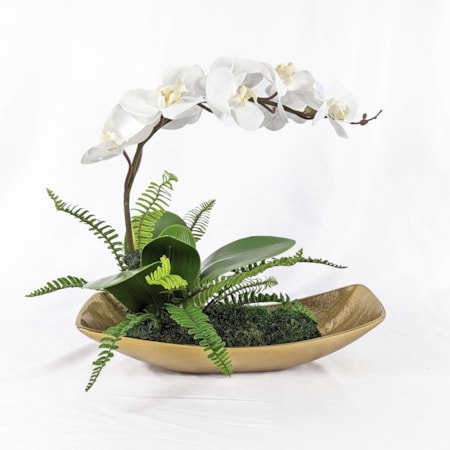 Transcend Orchid Centerpiece