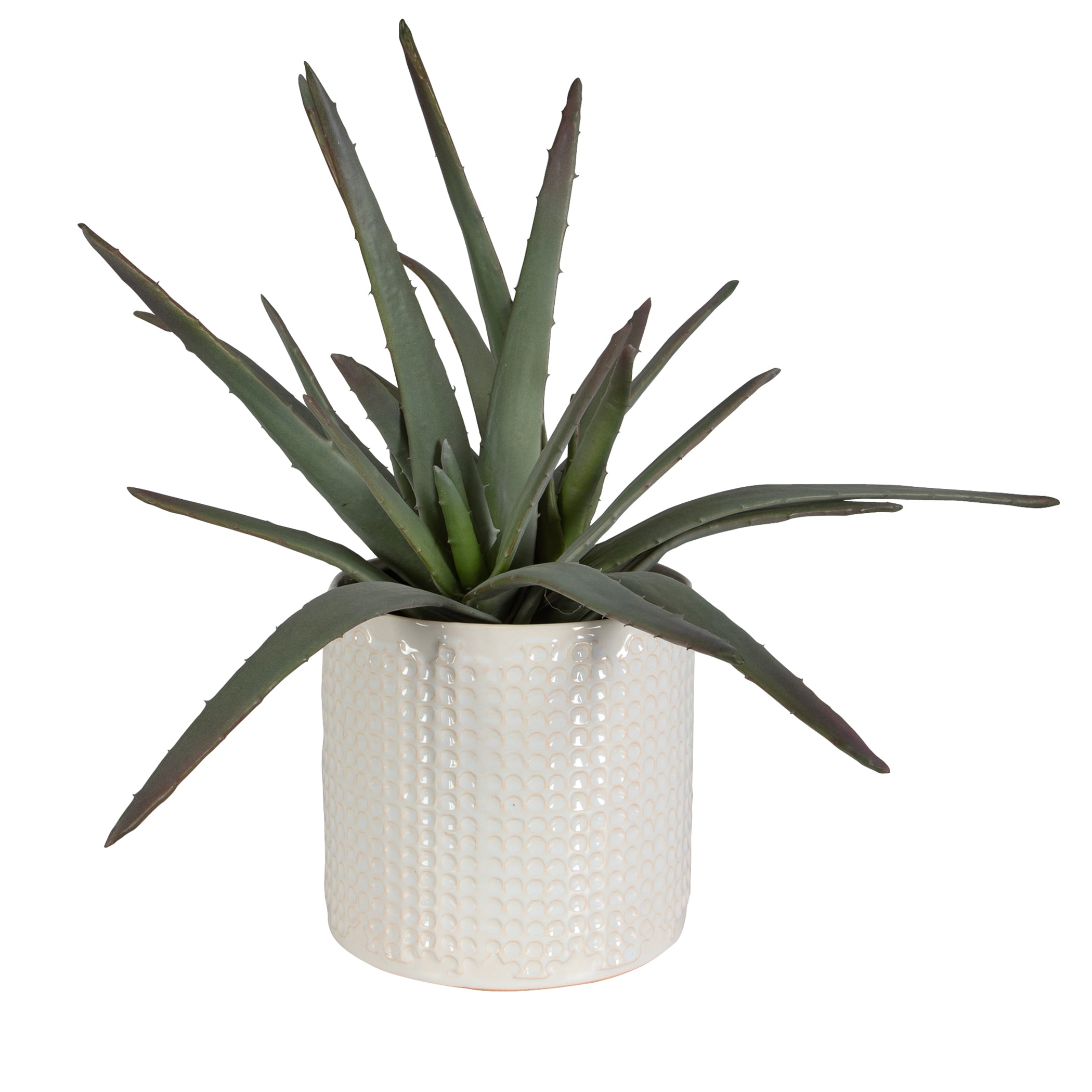 Uttermost Taos Taos Aloe Centerpiece