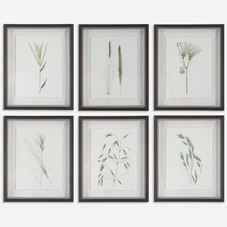 Forest Finds Framed Prints