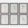 Uttermost Forest Finds Forest Finds Framed Prints