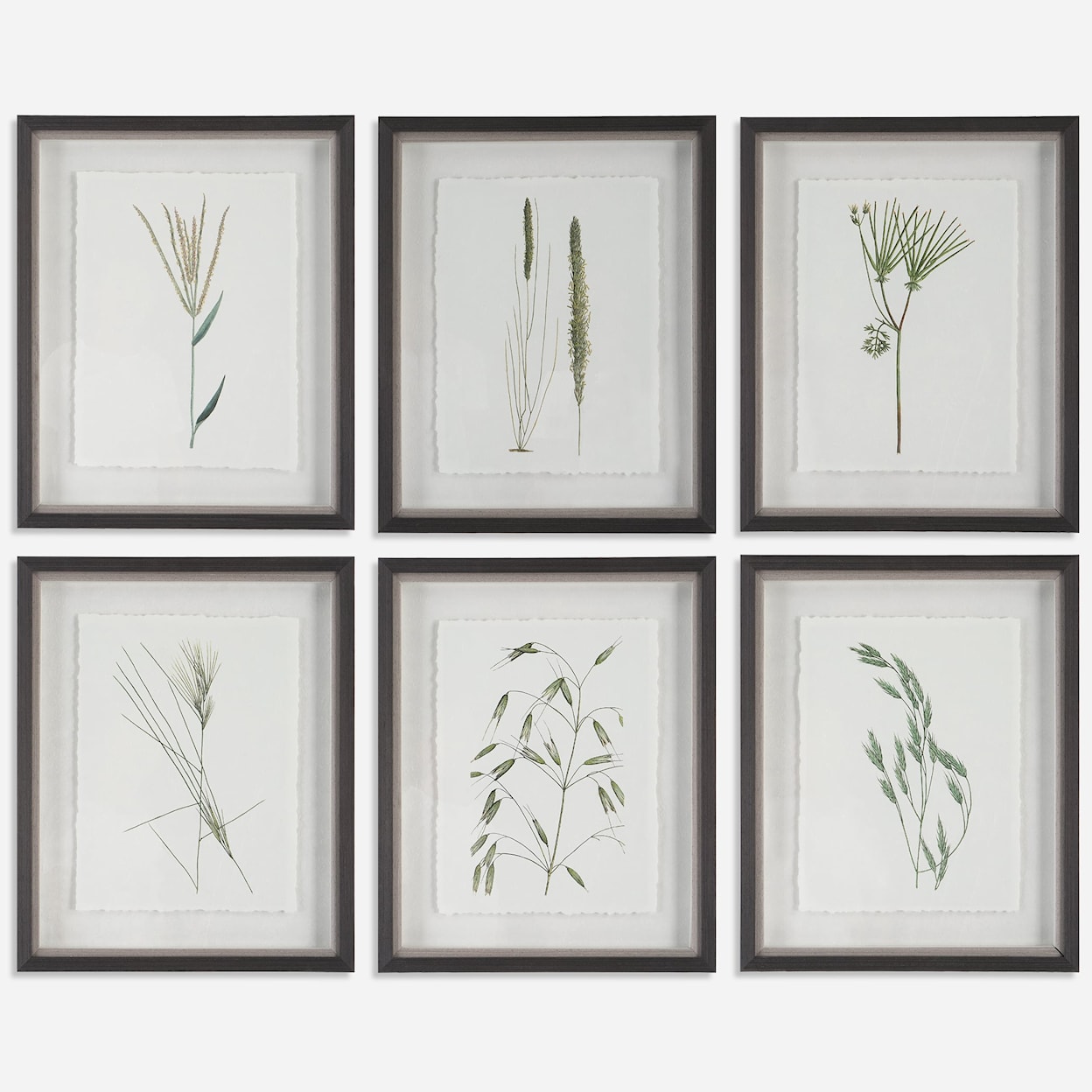 Uttermost Forest Finds Forest Finds Framed Prints