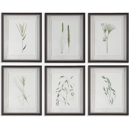 Forest Finds Framed Prints