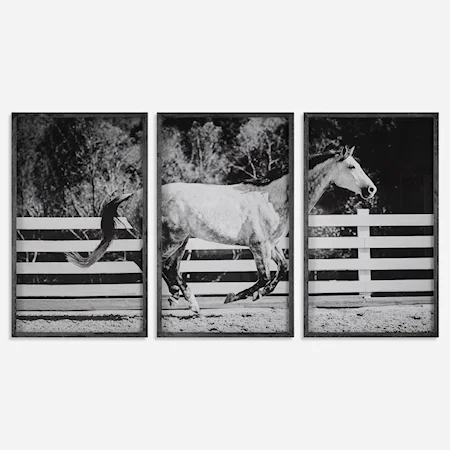 Contemporary 3-Piece Horse Galloping Framed Picture