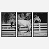 Uttermost Galloping Forward 3-Piece Horse Galloping Framed Picture