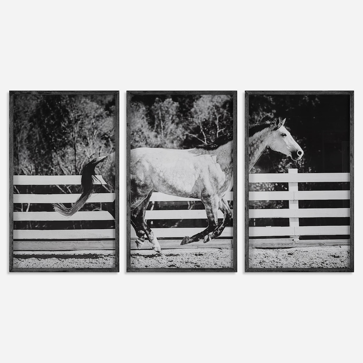 Uttermost Galloping Forward 3-Piece Horse Galloping Framed Picture