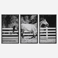 Contemporary 3-Piece Horse Galloping Framed Picture