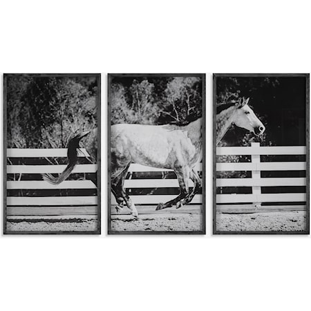 3-Piece Horse Galloping Framed Picture