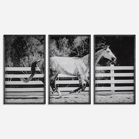 3-Piece Horse Galloping Framed Picture