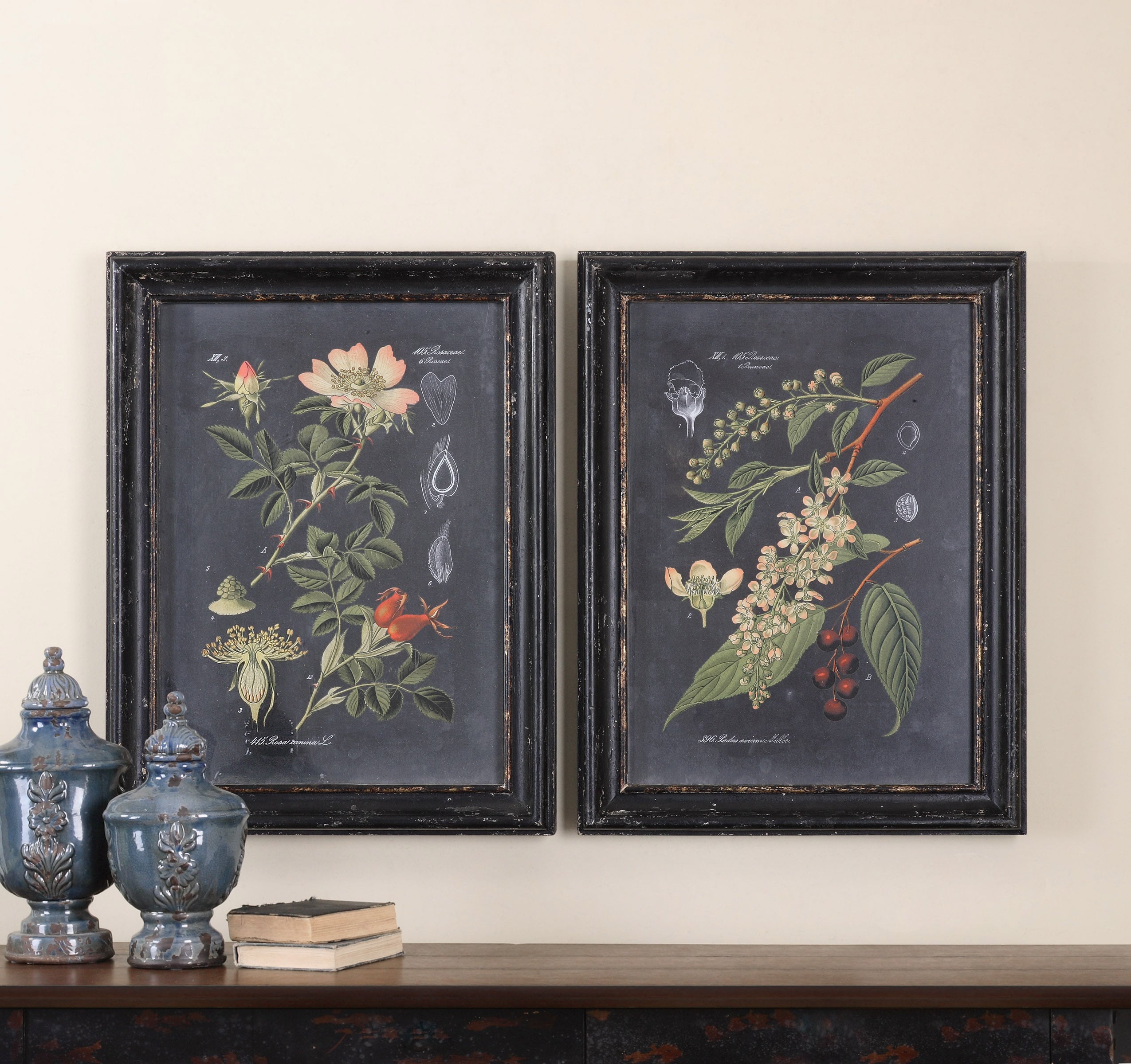 Uttermost Framed Prints Midnight Botanicals Framed Prints, Set of 2