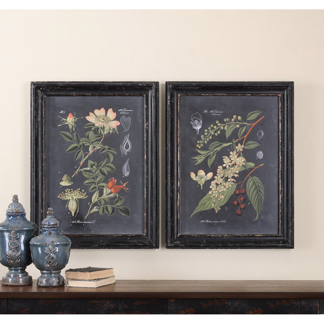 Uttermost Framed Prints Midnight Botanicals Framed Prints, Set of 2