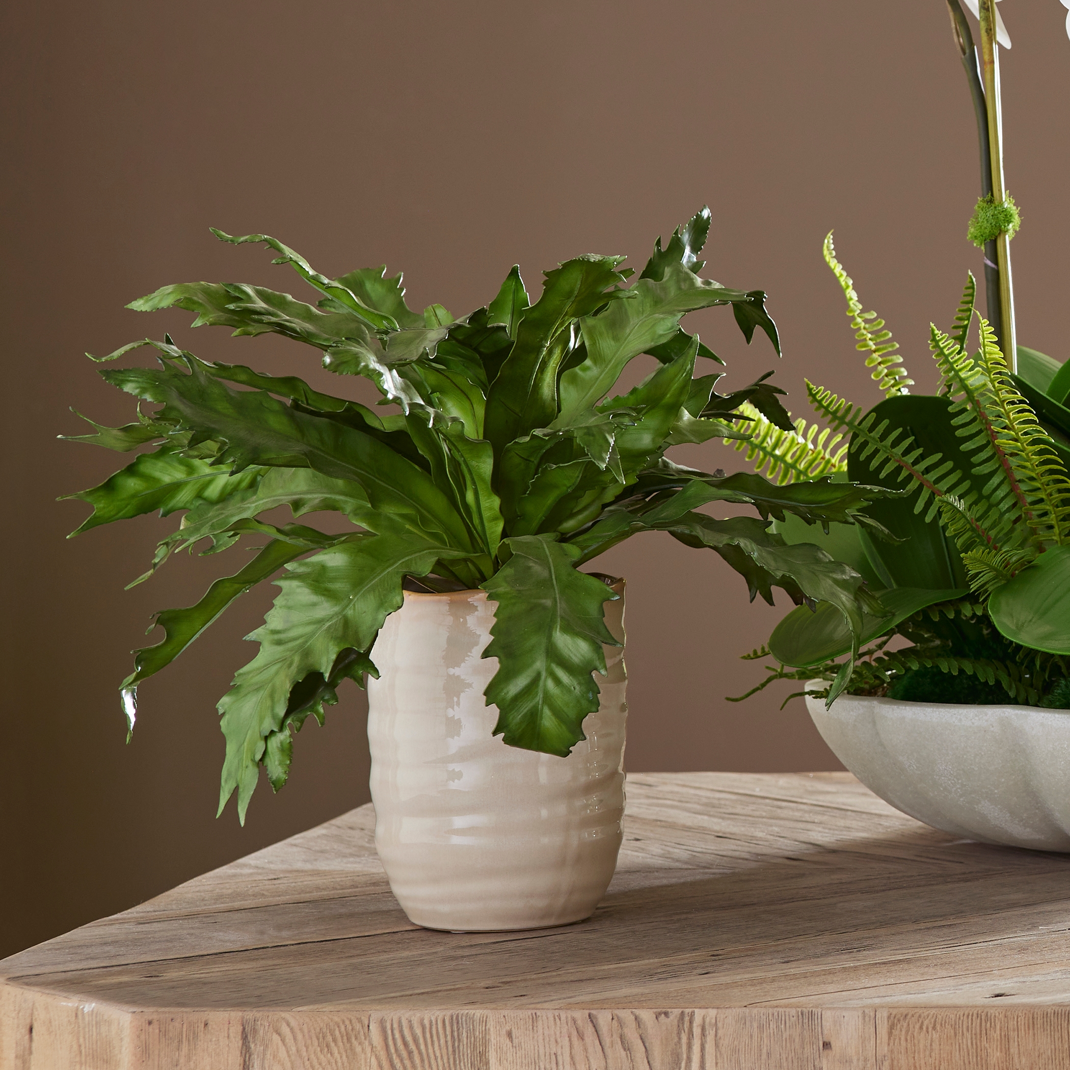 Uttermost Verdure Fern Verdure Fern In Glazed Pot