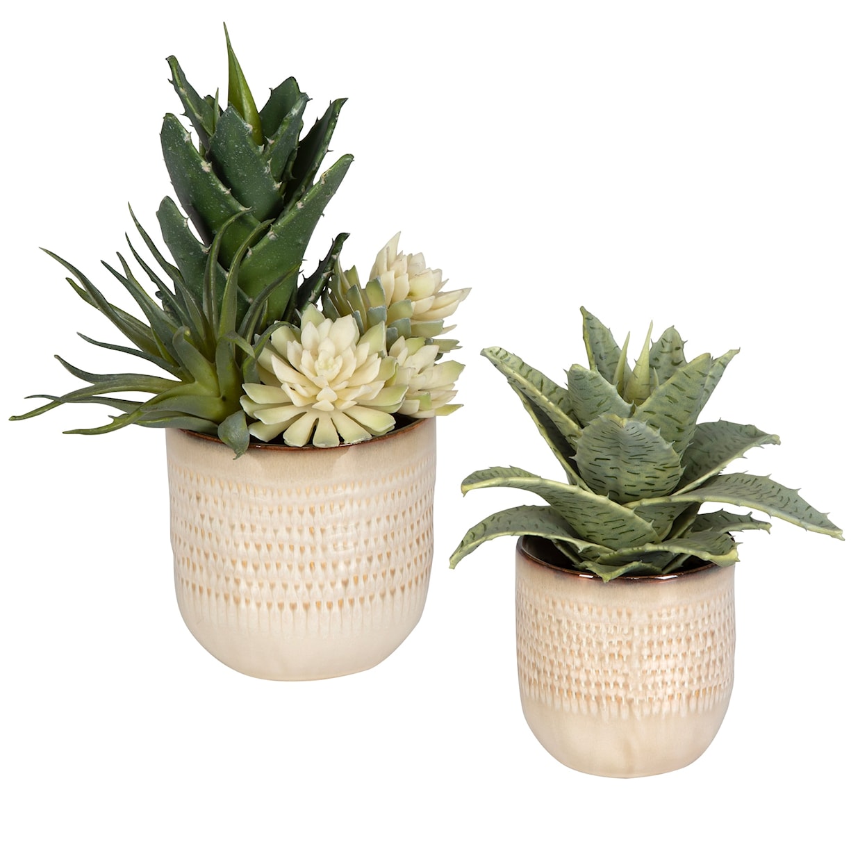 Uttermost Seaside Succulents Seaside Succulents Set/2