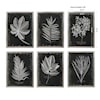 Uttermost Framed Prints Foliage Framed Prints, Set of 6