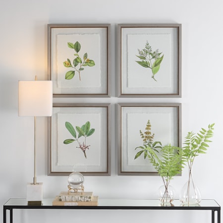 Wildflower Study Framed Prints S/4