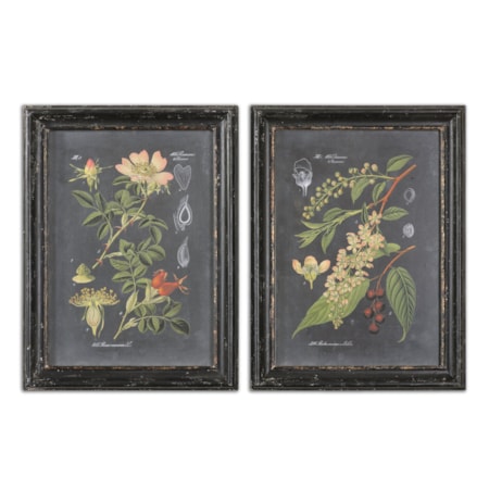 Midnight Botanicals Framed Prints, Set of 2