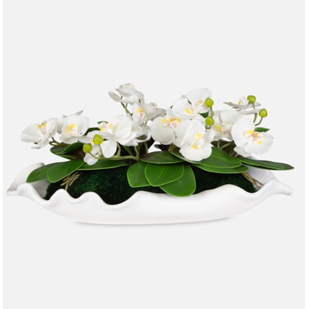 Opulence Orchid Centerpiece With Bowl