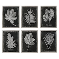 Foliage Framed Prints, Set of 6