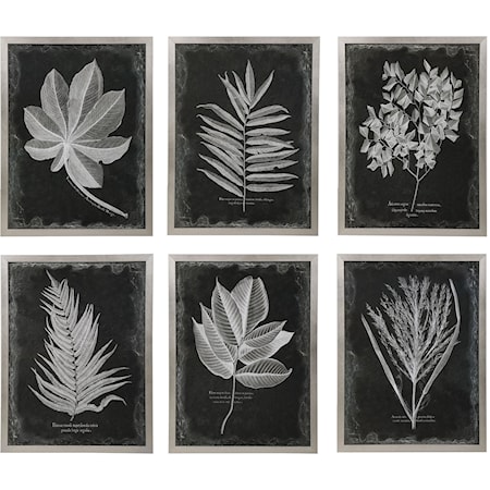 Foliage Framed Prints, Set of 6