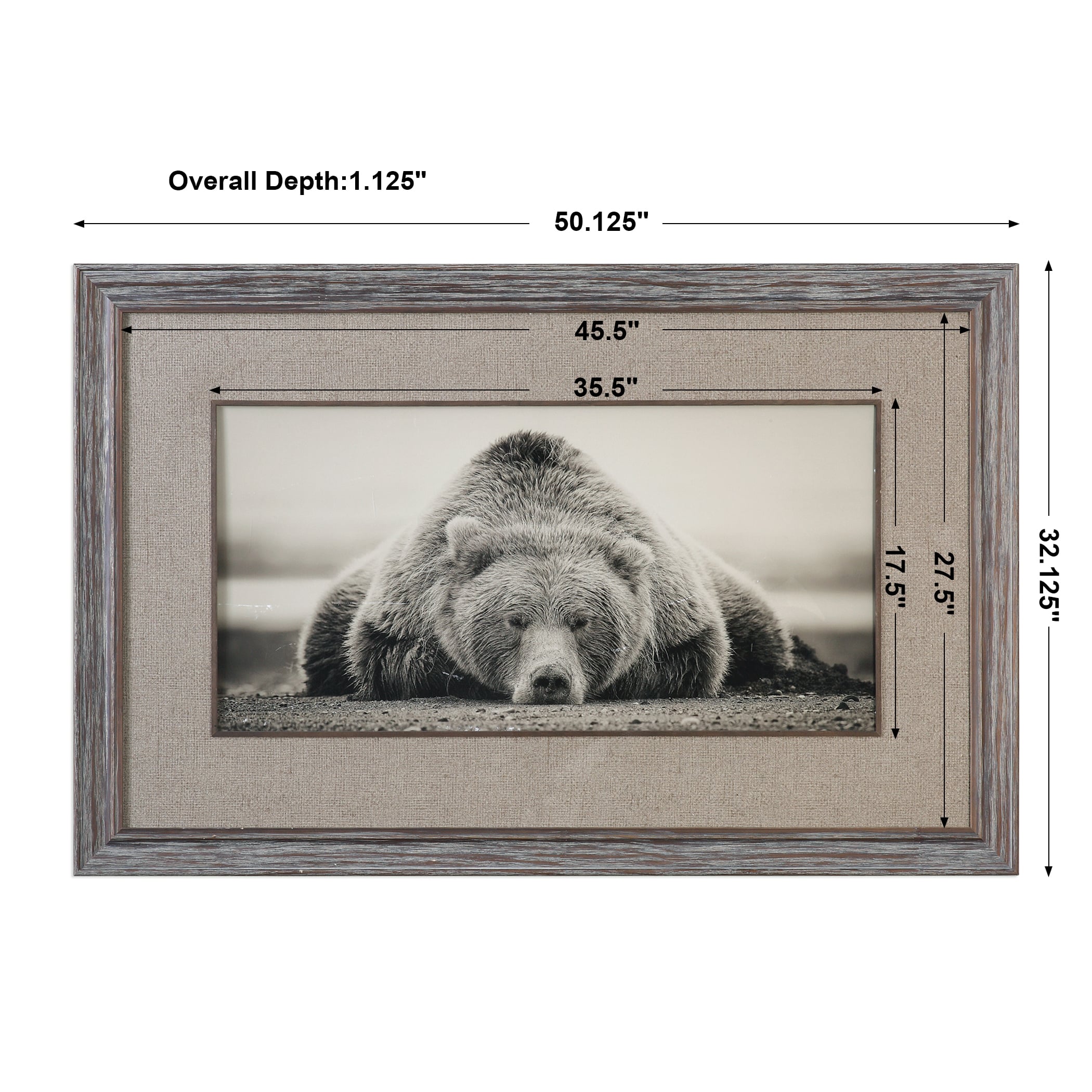 Uttermost Framed Prints Deep Sleep Bear Print