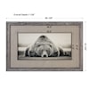 Uttermost Framed Prints Deep Sleep Bear Print