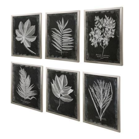 Foliage Framed Prints, Set of 6