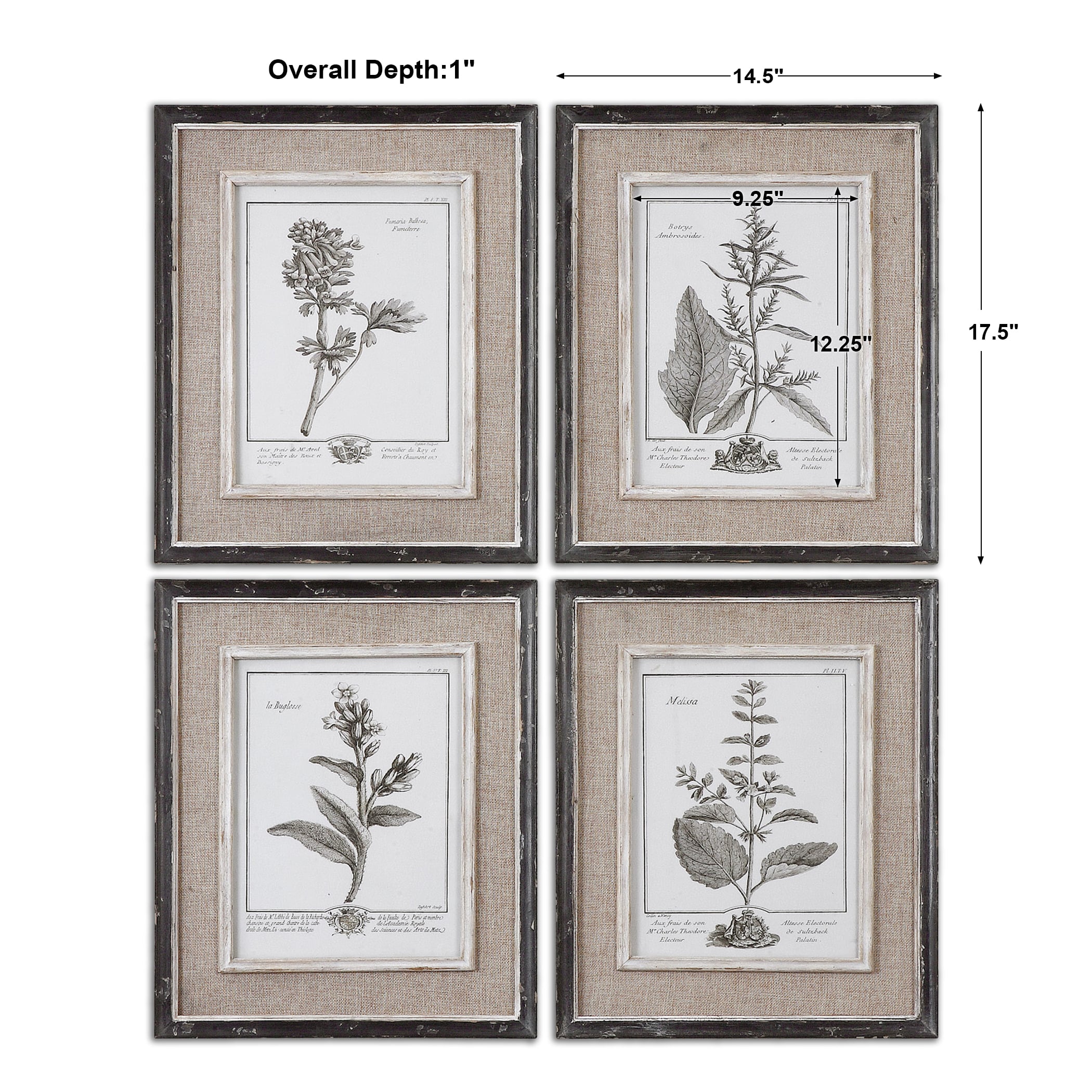 Uttermost Framed Prints Casual Grey Study Framed Prints, S/4