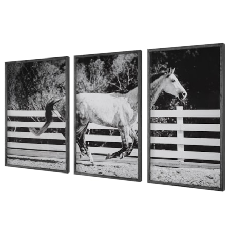 3-Piece Horse Galloping Framed Picture