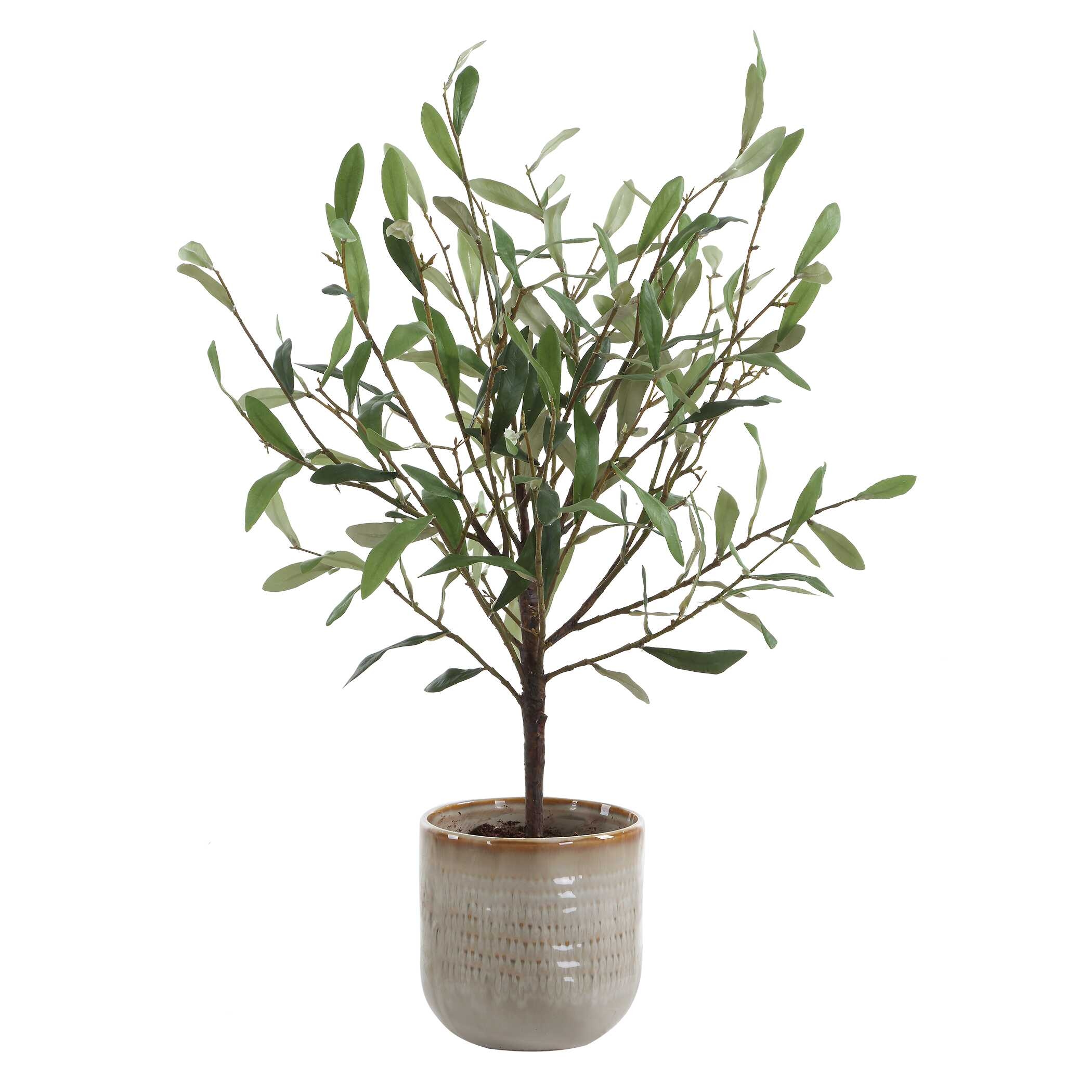Uttermost Solea Olive Solea Olive Accent & Textured Vase