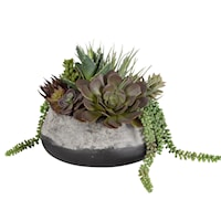 Yuma Succulent Centerpiece