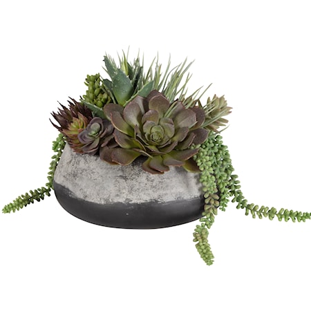 Yuma Succulent Centerpiece